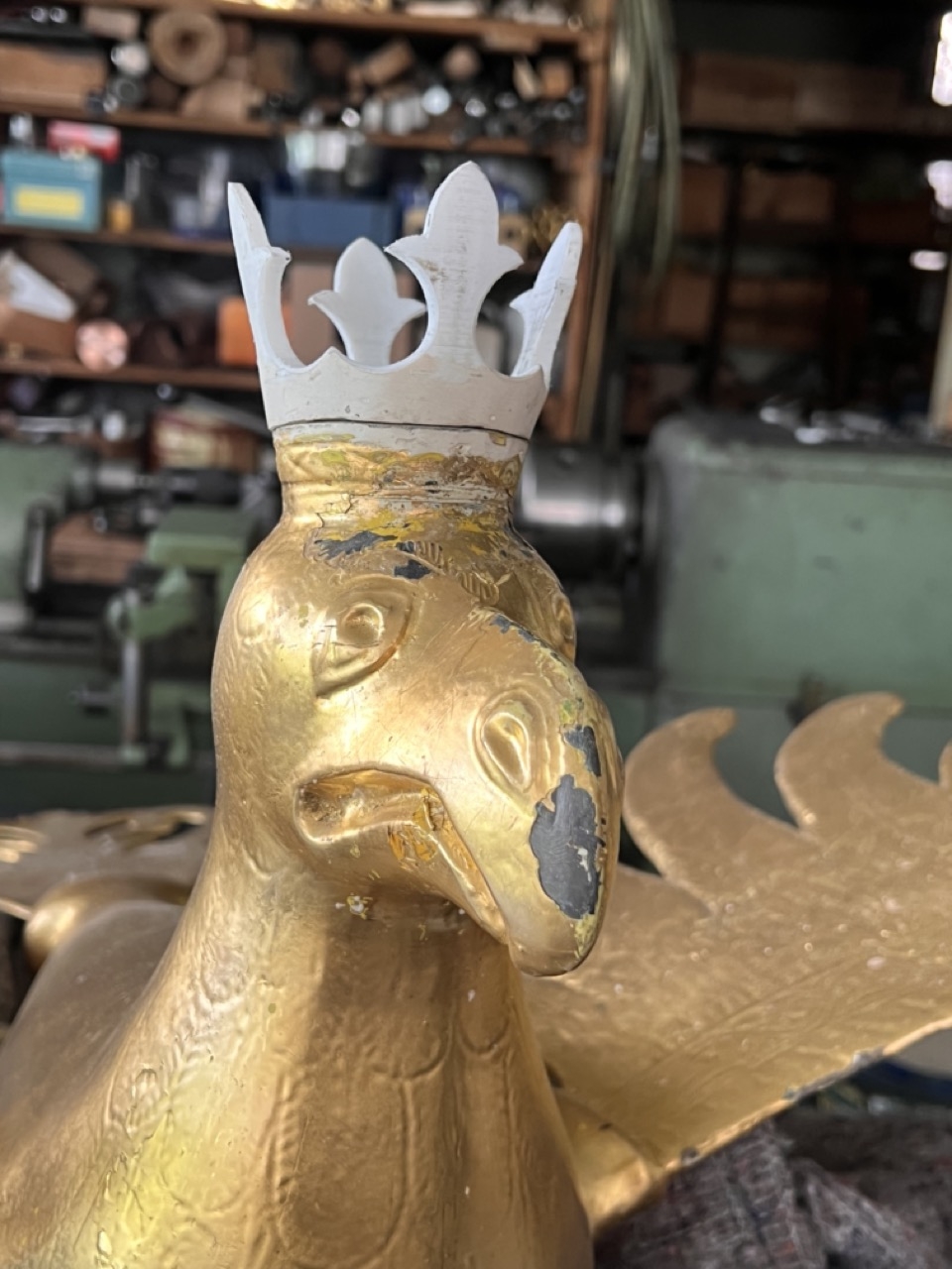 Anprobe: Das neue Krönchen sitzt perfekt! Der Adler ist zufrieden!